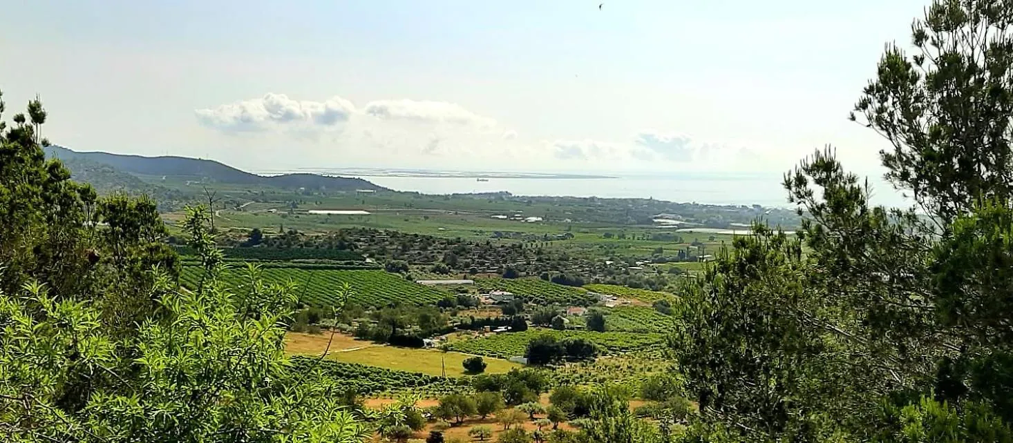 Maestro House On The Costa Dorada Villa Alcanar